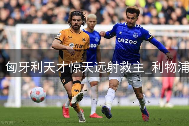 匈牙利天才惊天远射救主 利物浦惊险战平桑德兰